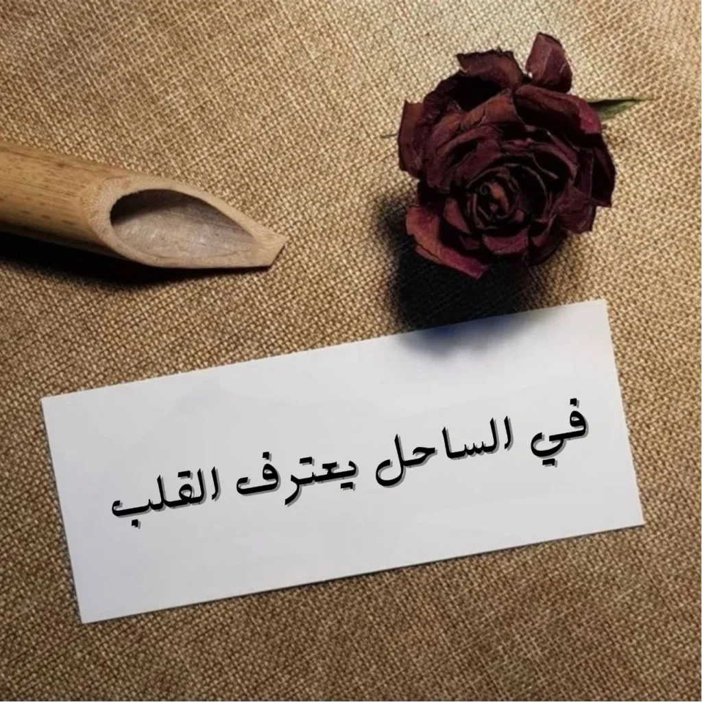 صورة تعكس قصيدة "في الساحل يعترف القلب"، تمثل شعور المرأة بالحب واليقين وتأثير المحبوب على حياتها وسط الفراغ والوحشة