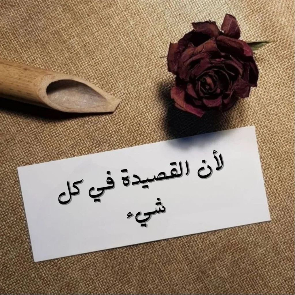 صورة تعبيرية عن قصيدة "لأن القصيدةَ في كلِ شيءٍ" لمحمد عبد الباري، تعكس الرمزية والحزن والوجود واللغة في النص الشعري، محسن للسيو