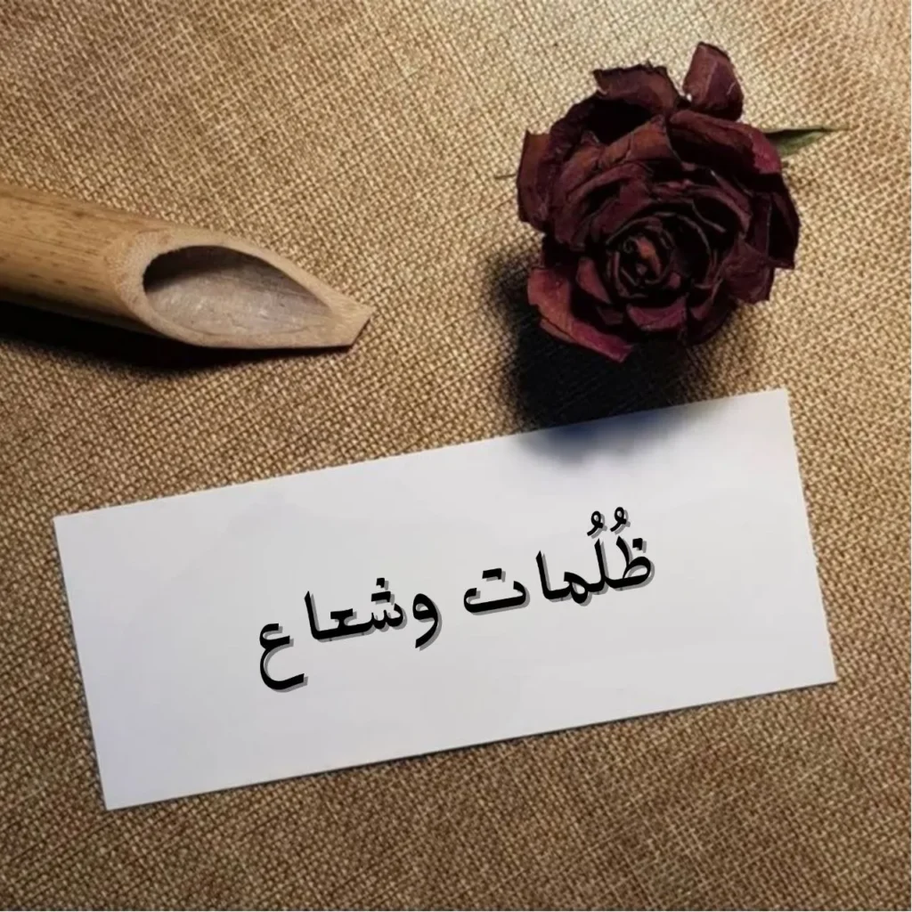 صورة رمزية تعبر عن قصيدة ظلمات وشعاع لادريس محمد جماع تجسد التباين بين الظلام والضوء في رؤية شعرية تفيض بالتأمل والرجولة والامل