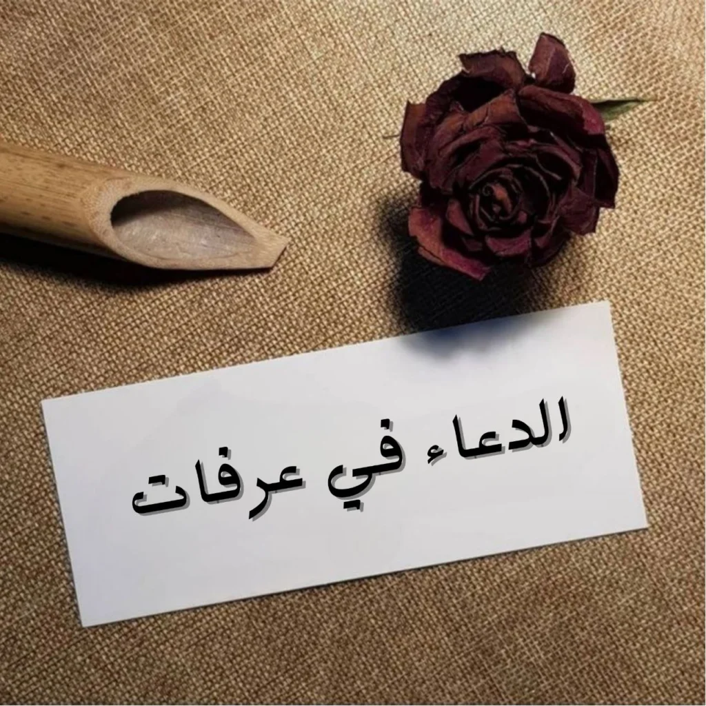 صورة تعبيرية لقصيدة الدُّعاء في عَرَفات لقريب الله بن أبي صالح، تمثل روحانية يوم عرفة، الدعاء والخشوع والتقرب لله في مناسك الحج، مناسبة لمحركات البحث