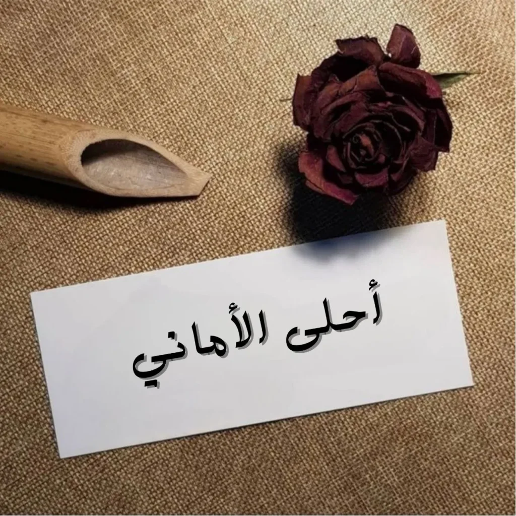 تصميم غلاف حالم يعكس الشوق والانتظار، مع أفق مضيء يرمز للأمل ولقاء الحبيب، وألوان دافئة توحي بالحب والحنين والطمأنينة.