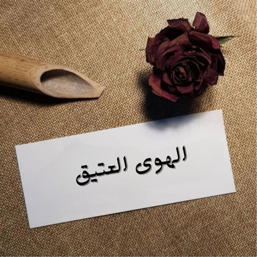 تصميم كلاسيكي رومانسي يجمع بين طابع الزمن القديم وإضاءة ذهبية دافئة، يظهر فيه عاشق ومحبوبته في مشهد هادئ تحت ضوء القمر، مع أجواء توحي بالعراقة والحنين والهوى الأبدي.