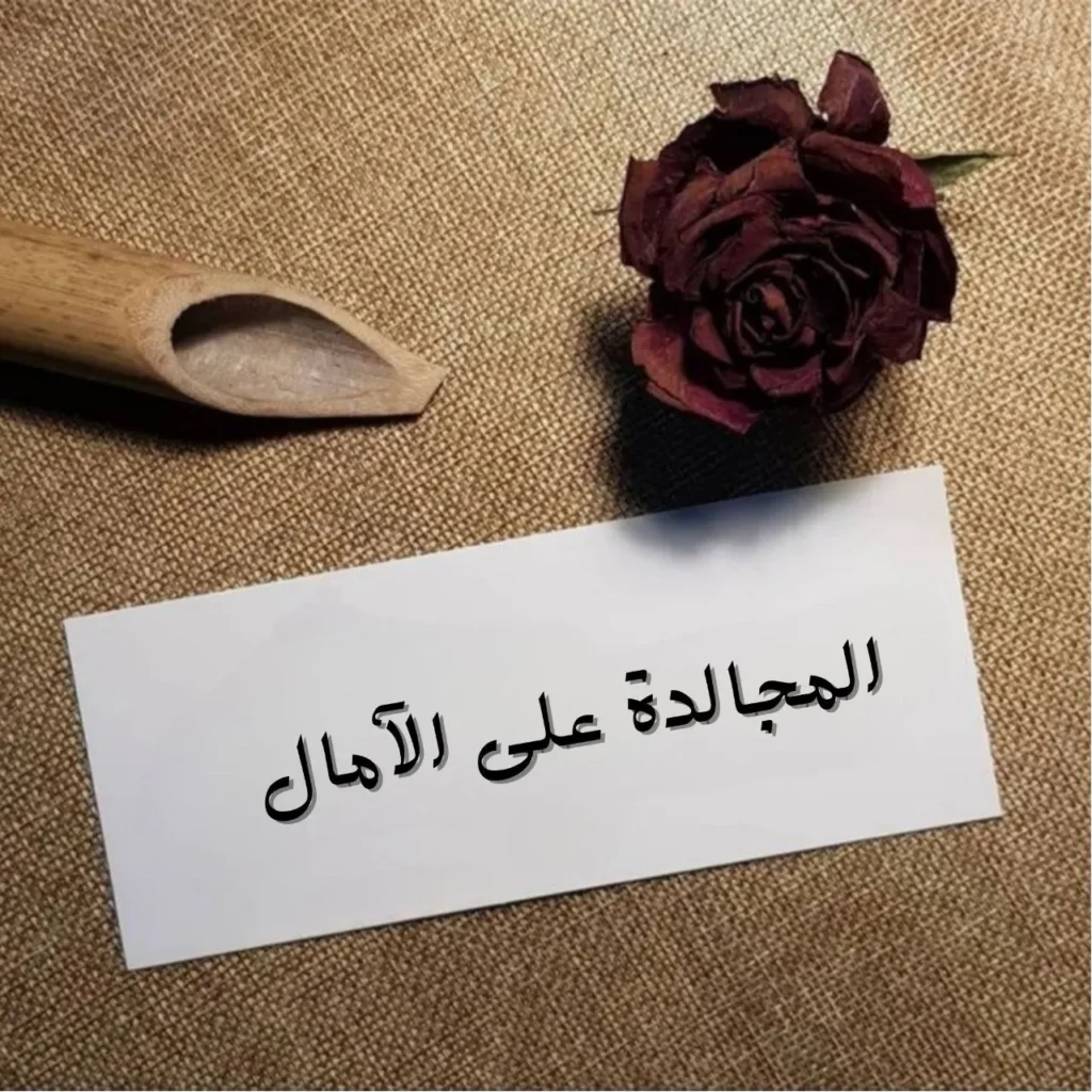 تصميم غلاف ملهم يعكس رحلة الكفاح نحو القمة، يظهر فيه شخص يتسلق جبلاً شامخاً مع ضوء الفجر في الأفق، رمزاً للأمل بعد الصبر.