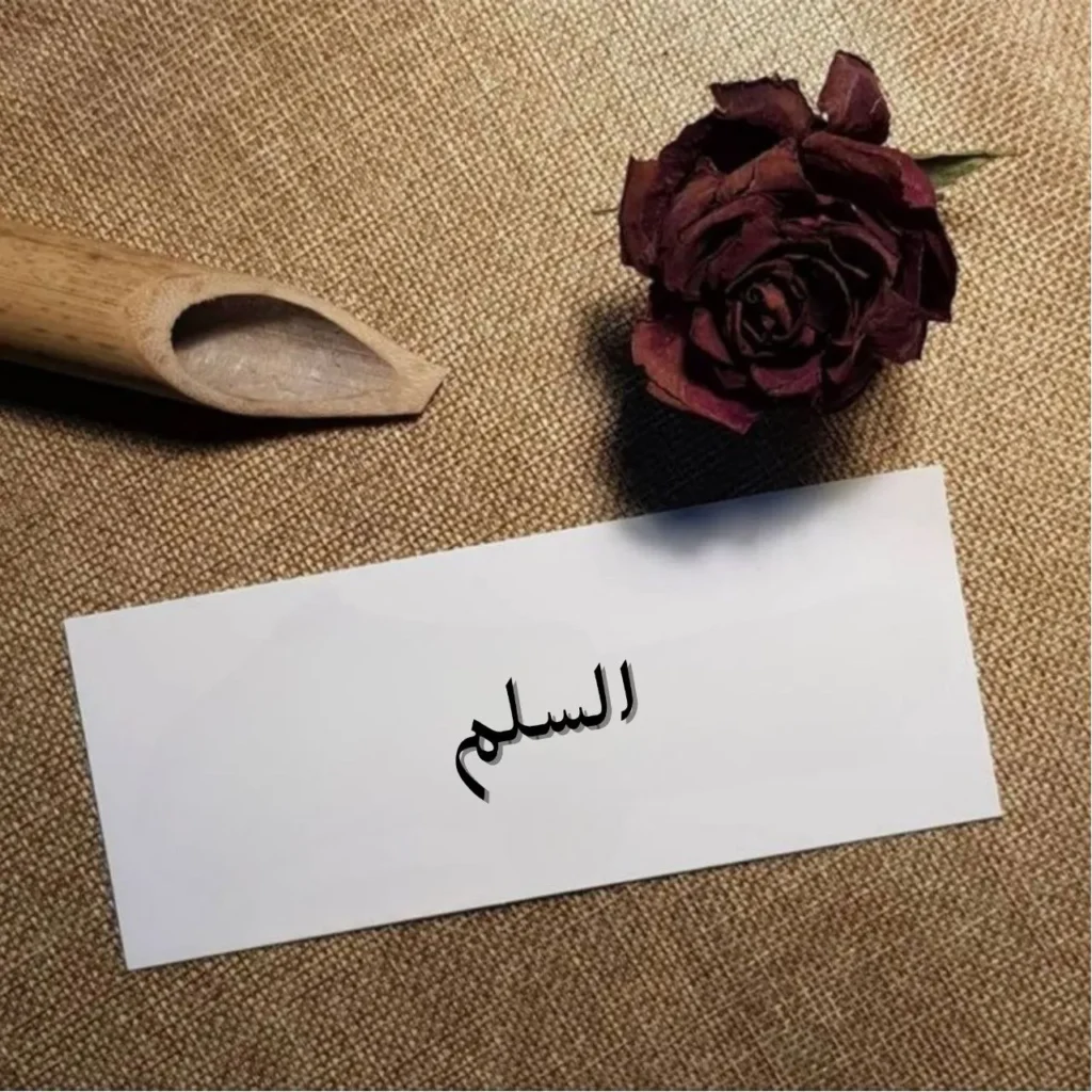 غلاف قصيدة السلم بخط عربي فصيح مع خلفية رمزية لشخص يصعد درجات في عتمة تتخللها خيوط نور تعبر عن الأمل والكفاح
