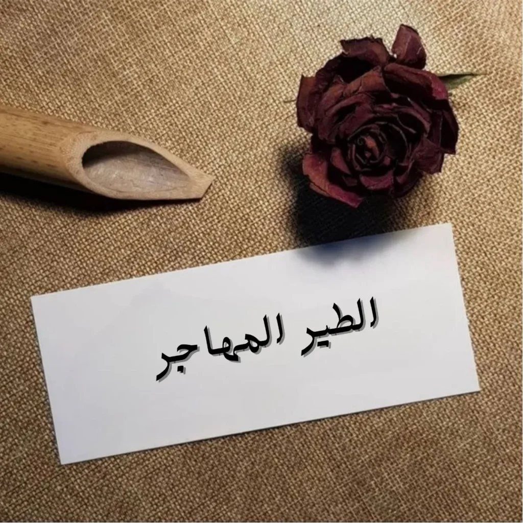 غلاف قصيدة الطير المهاجر بخط عربي فصيح أنيق