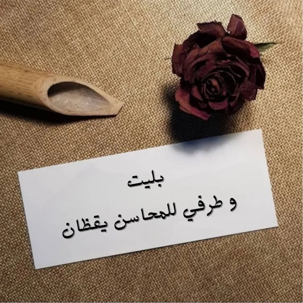 غلاف قصيدة بليت وطرفى للمحاسن يقظان بخط عربي فصيح أنيق