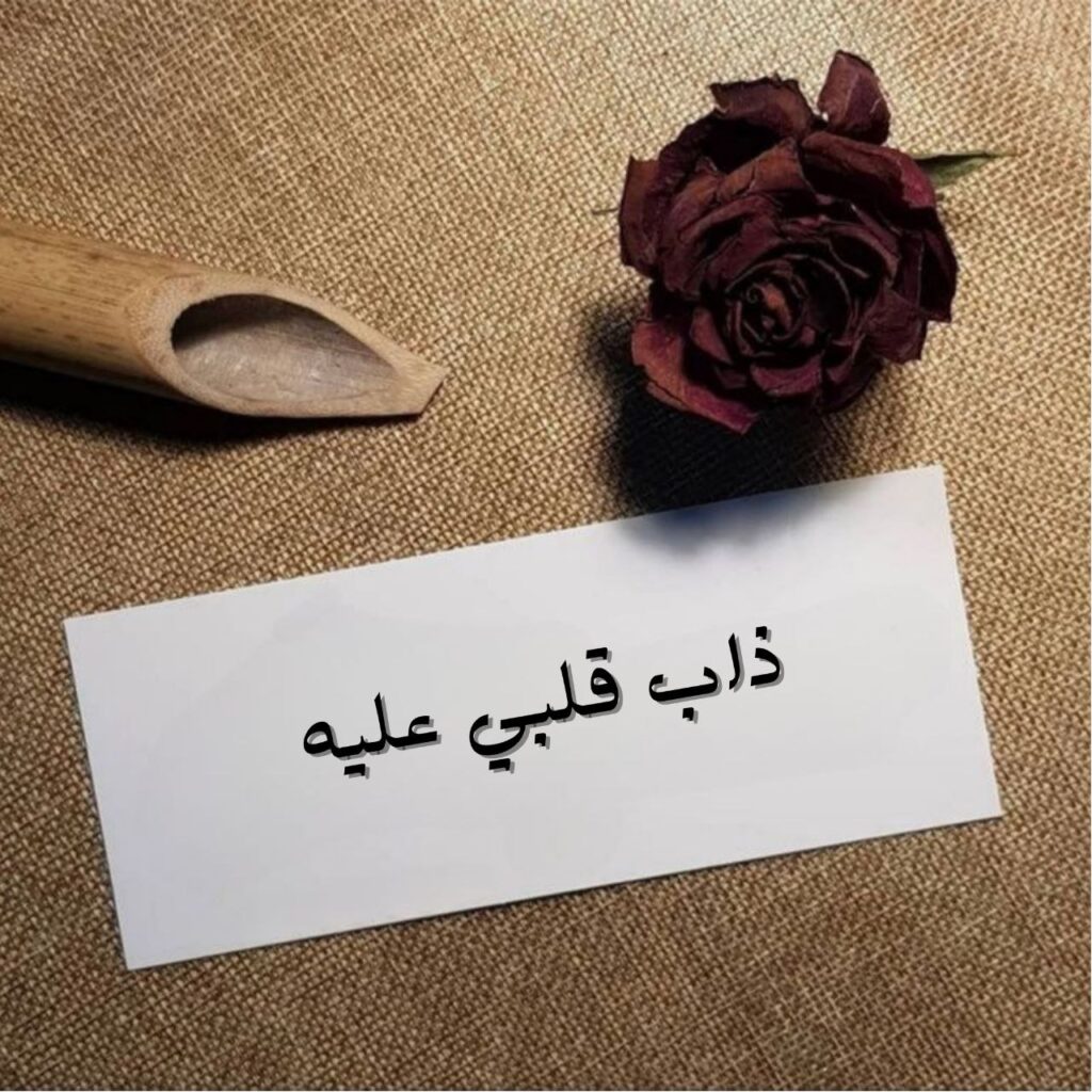 صورة الغلاف لقصيدة "ذاب قلبي عليه" لحمزة الملك طمبل، تعكس مشاهد الحب والانجذاب العاطفي، مع تصوير فني للجمال واللحظة العاطفية وتأثيرها العميق.