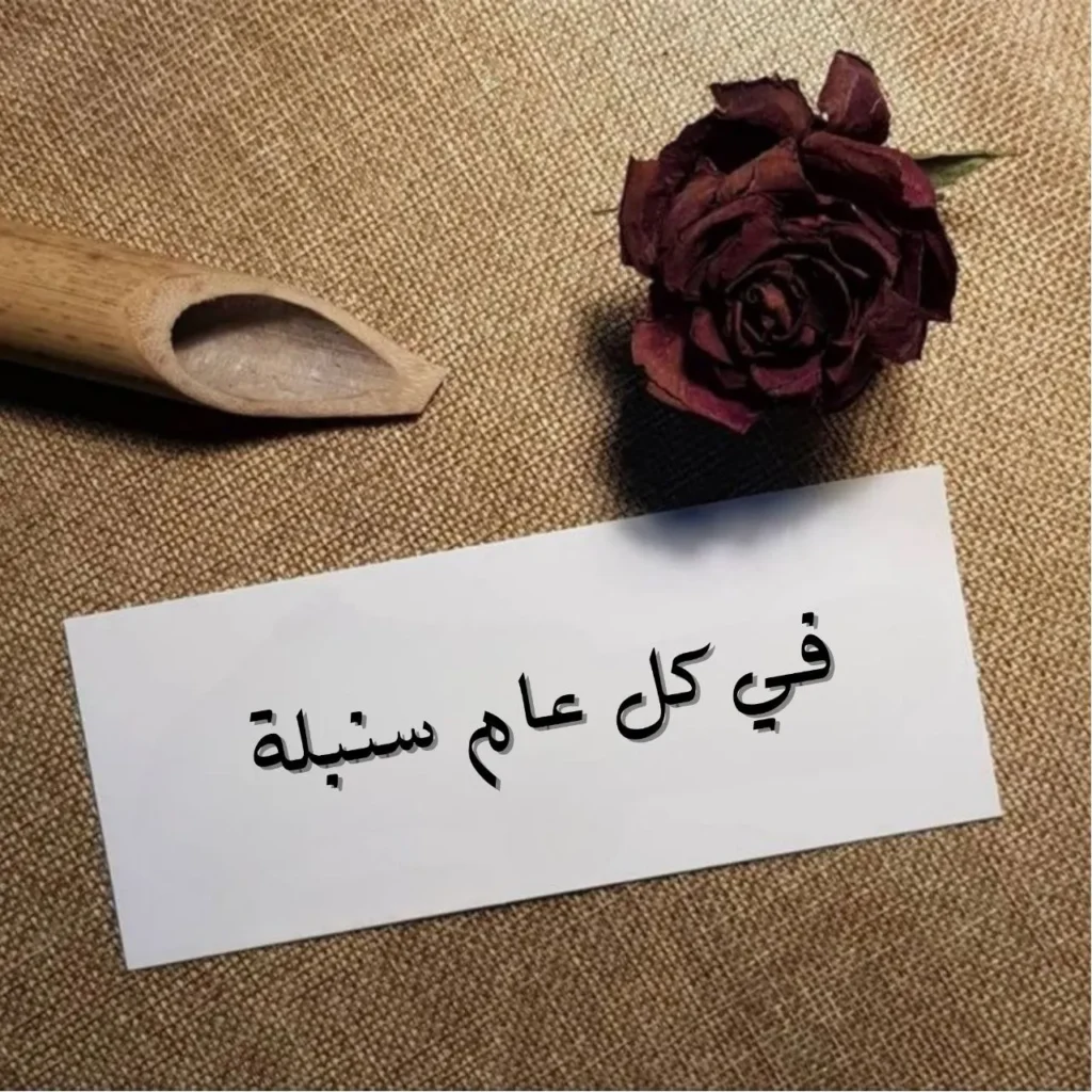 غلاف قصيدة في كل عام سنبلة بتصميم يجمع بين سنابل ذهبية وخلفية ضوئية ترمز للأمل مع ألوان دافئة وخط عربي أنيق يوحي بالحب والنهوض