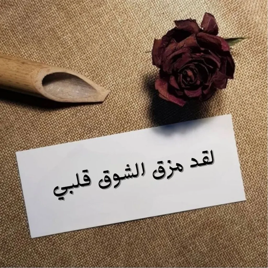 صورة الغلاف لقصيدة "لقد مزق الشوق قلبي" لحمزة الملك طمبل، تعكس مشاعر الفراق والحنين والدموع، مع طابع بصري هادئ يوحي بالوفاء والاشتياق العميق.