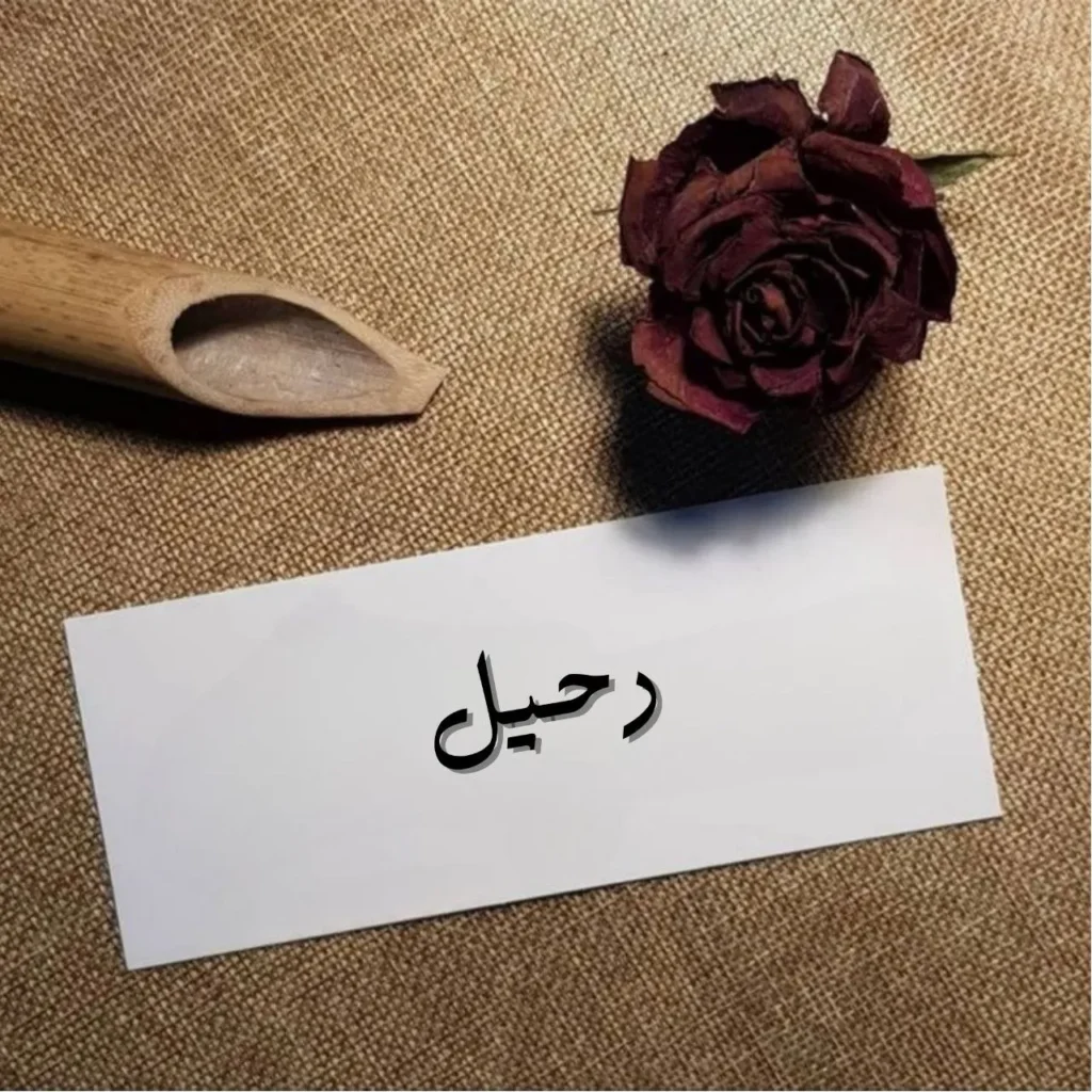 غلاف قصيدة رحيل بتصميم قاتم يظهر طريقاً ممتداً فى عاصفة ليلية، مع ظلال إنسان يسير وحيداً نحو أفق مجهول، فى دلالة على الفقد والتيه