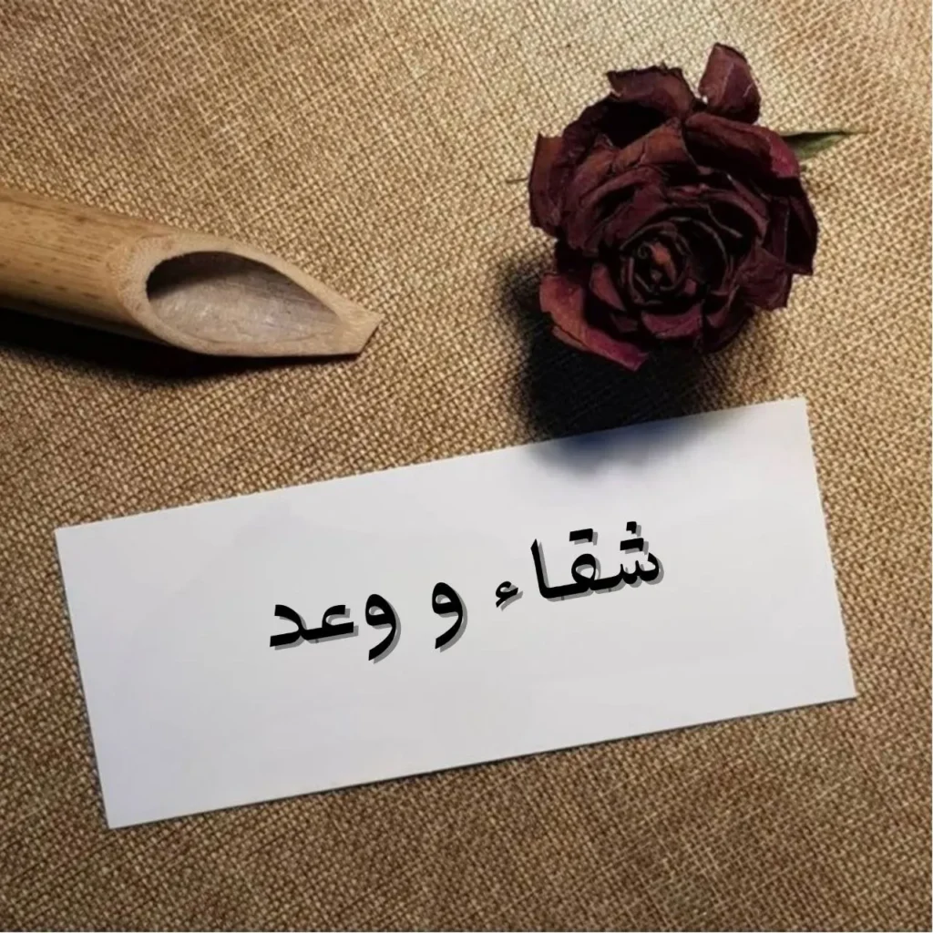 غلاف قصيدة شقاء و وعد بتصميم بصري يجمع بين نور الجمال وظلال الحزن، مع مشهد رمزي لجزيرة مضيئة وسط عتمة تعكس التناقض بين الشقاء والوعد
