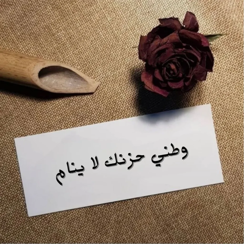 غلاف قصيدة وطني حزنك لا ينام بتصميم تعبيري يظهر وجها وطنيا حزيناً تحت شمس حارقة مع ظلال رمزية للسياسة والصراع