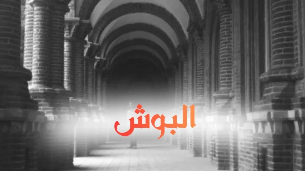 غلاف قصيدة البوش بتصميم مرح مستوحى من المطبخ السوداني، يتوسطه طبق بوش مزين بالبصل والطماطم والشطة، مع ألوان دافئة وخط عربي عريض يعكس الطابع الحلمنتيشي الساخر