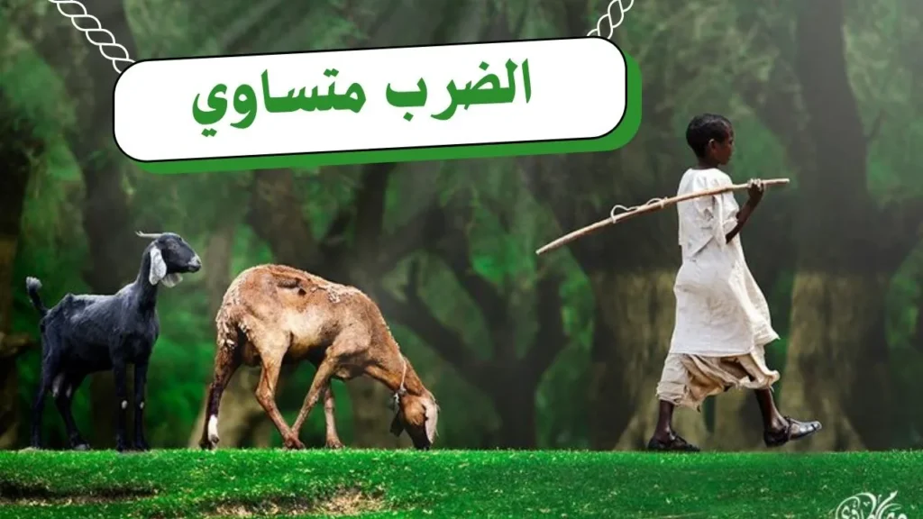 غلاف قصيدة "الضرب متساوي" بتصميم يعكس الطابع الريفي السوداني، مع ألوان ترابية دافئة وخط عربي أنيق، يجسد مشهداً للحكمة والمواقف بأسلوب شعري يعبر عن النص.