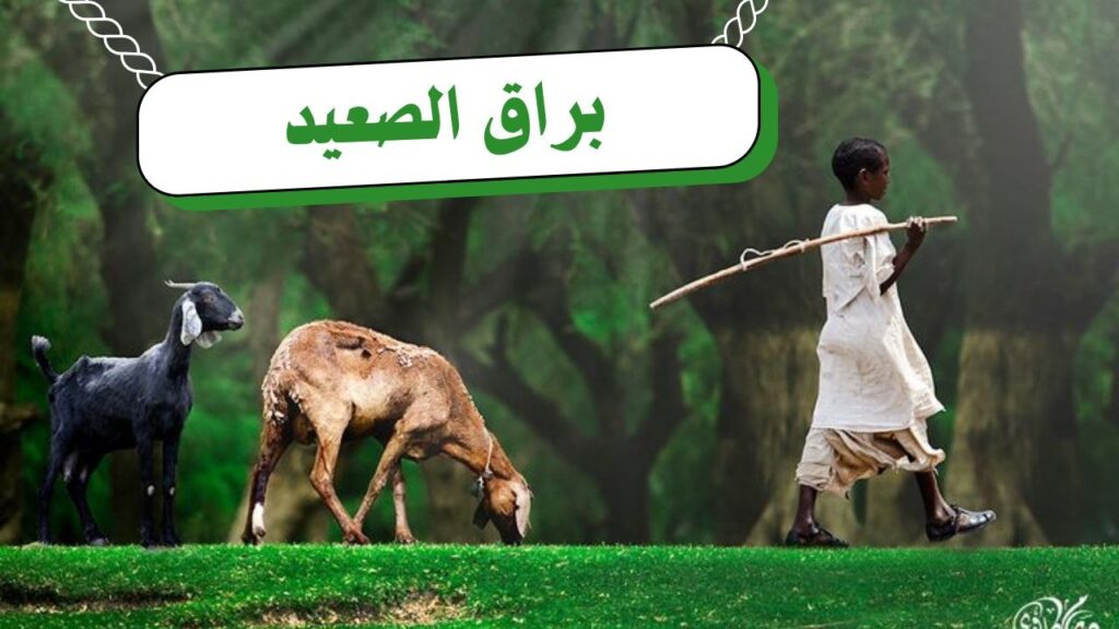 غلاف قصيدة "براق الصعيد" بتصميم يعكس الطابع الريفي السوداني، مع ألوان ترابية دافئة وخط عربي أنيق، يجسد مشهداً للطبيعة والمراعي بأسلوب شعري يعبر عن النص.