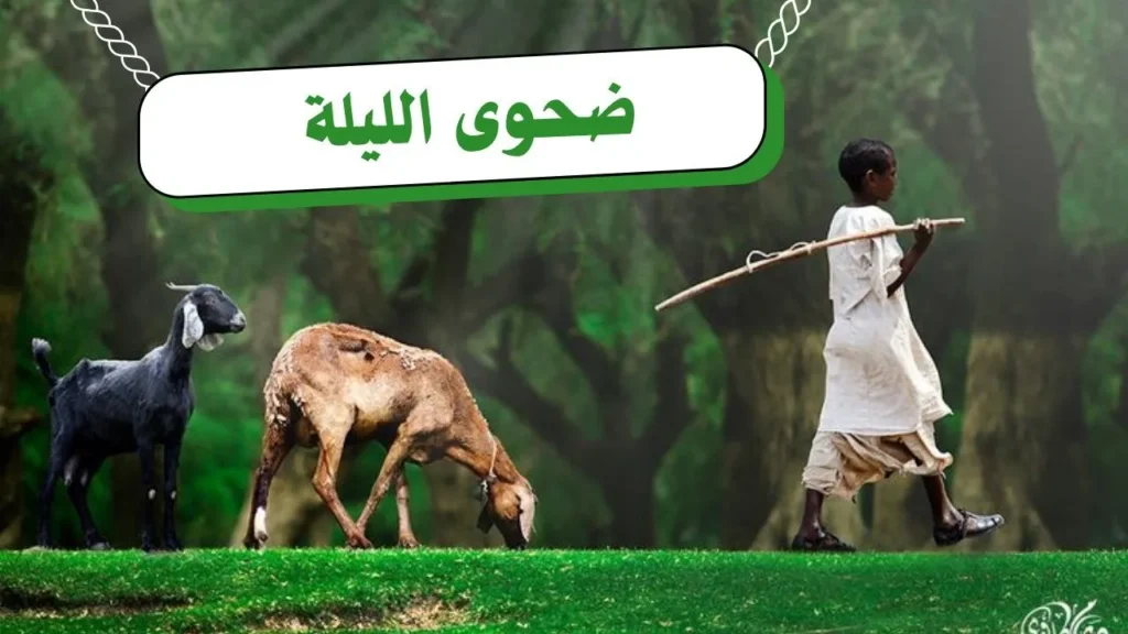 غلاف قصيدة "ضحوى الليلة" بتصميم يعكس الطابع الريفي السوداني، مع ألوان ترابية دافئة وخط عربي أنيق، يجسد مشهداً للطبيعة والمطر بأسلوب شعري يعبر عن النص.