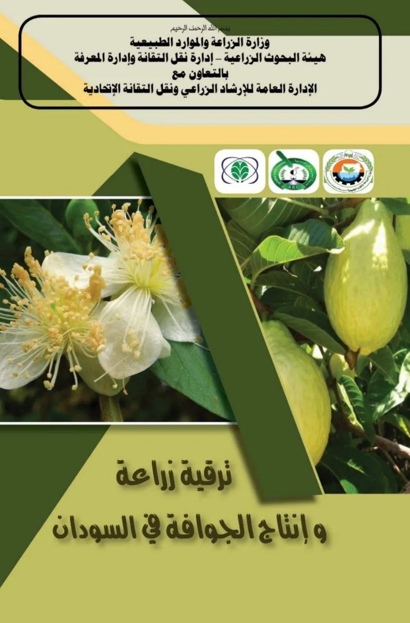 كتيب زراعي متخصص يُعرِّف بزراعة الجوافة في السودان، ويقدم تقانات الإنتاج لتحسين المحصول.