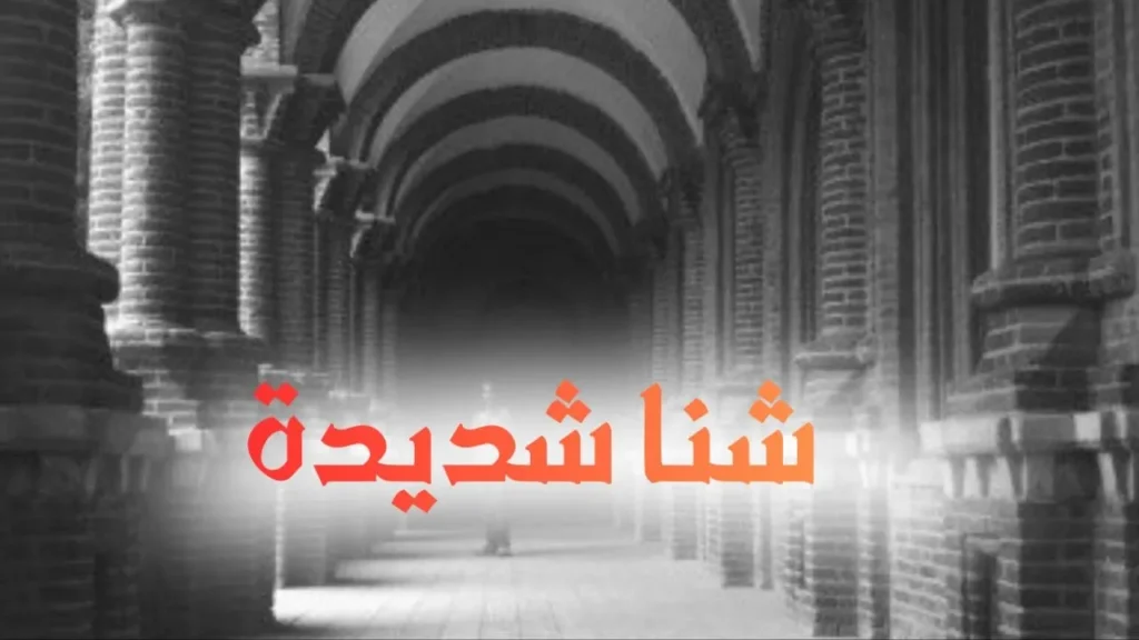 غلاف أغنية "شنا شديدة" بتصميم كاريكاتيري ساخر يعكس الطابع السوداني الحلمنتيشي، مع ألوان زاهية وخط عربي بارز، يجسد امرأة بملامح مبالغ فيها بطريقة كوميدية تعبر عن النص الساخر.