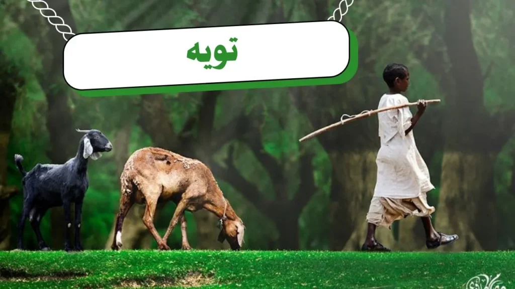 غلاف قصيدة "تويه" بتصميم يعكس الطابع الريفي السوداني، مع ألوان ترابية دافئة وخط عربي أنيق، يجسد مشهداً للحياة الريفية بأسلوب شعري يعبر عن النص.
