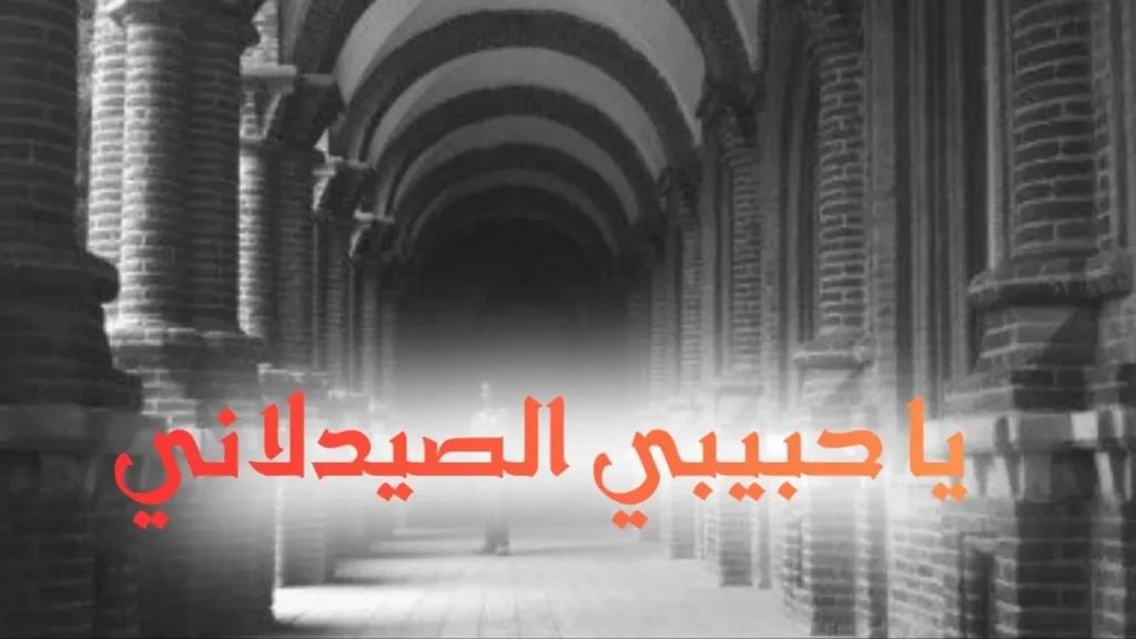 غلاف قصيدة يا حبيبي الصيدلاني بتصميم مرح مستوحى من أجواء كلية الصيدلة، مع عناصر دوائية ورموز طبية ولمسات برتقالية وخط عربي عصري يعكس الطابع الحلمنتيشي الكوميدي للنص