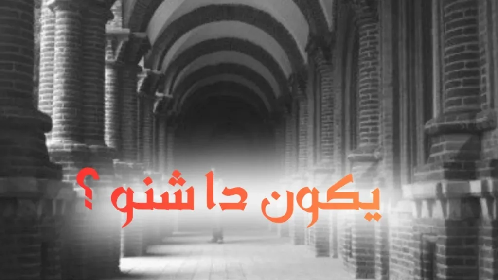غلاف قصيدة يكون دا شنو؟ بتصميم كاريكاتيري مرح يجسد شخصاً يرتدي زياً عصرياً غريباً وسط جمهور مندهش، مع ألوان زاهية وخط عربي عريض يعكس الطابع الحلمنتيشي الساخر